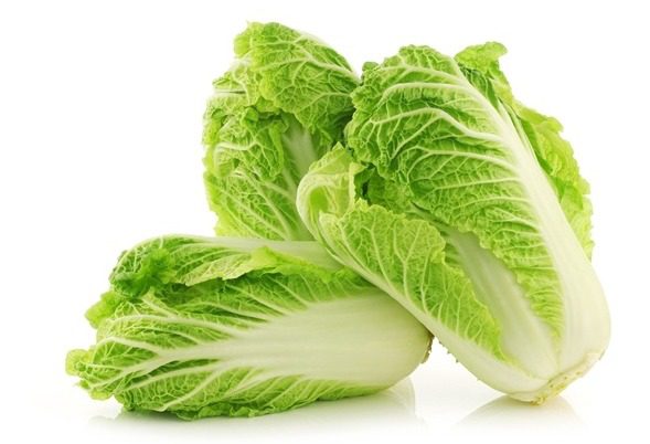 배추 : 11월 제철 채소