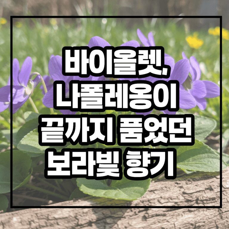 바이올렛 나폴레옹이 끝까지 품었던 보라빛 향기