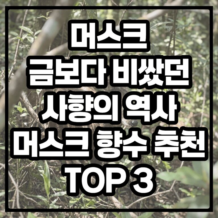 머스크 향수