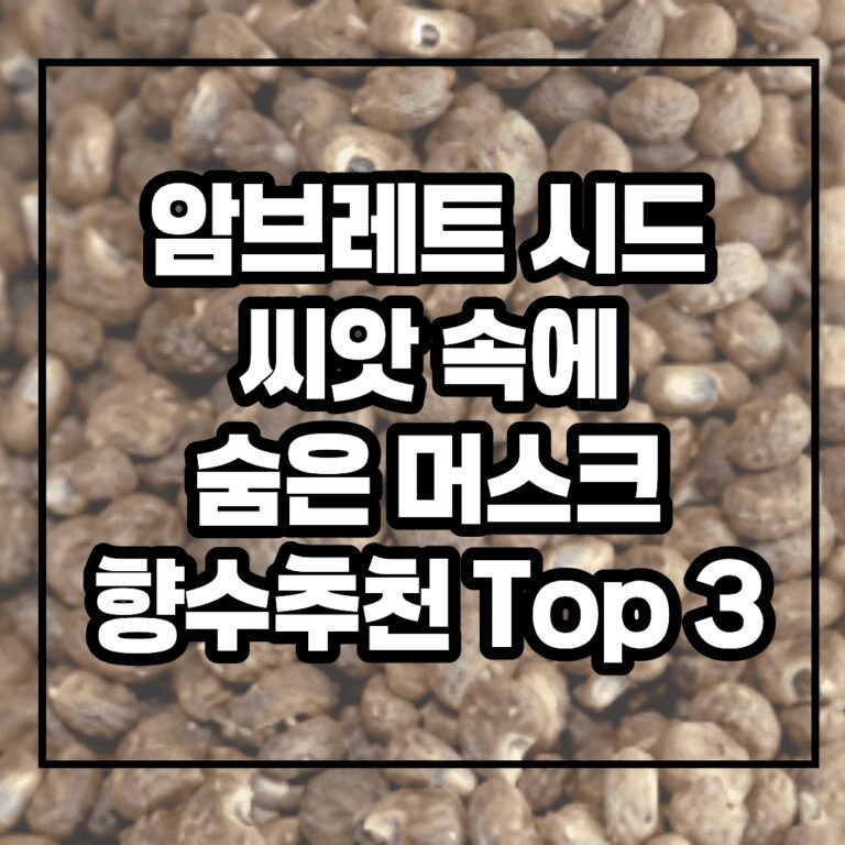 암브레트 시드, 씨앗 속에 숨은 머스크 — 향수 추천 Top 3, 향과 향료 성분, 생산지까지 총 정리