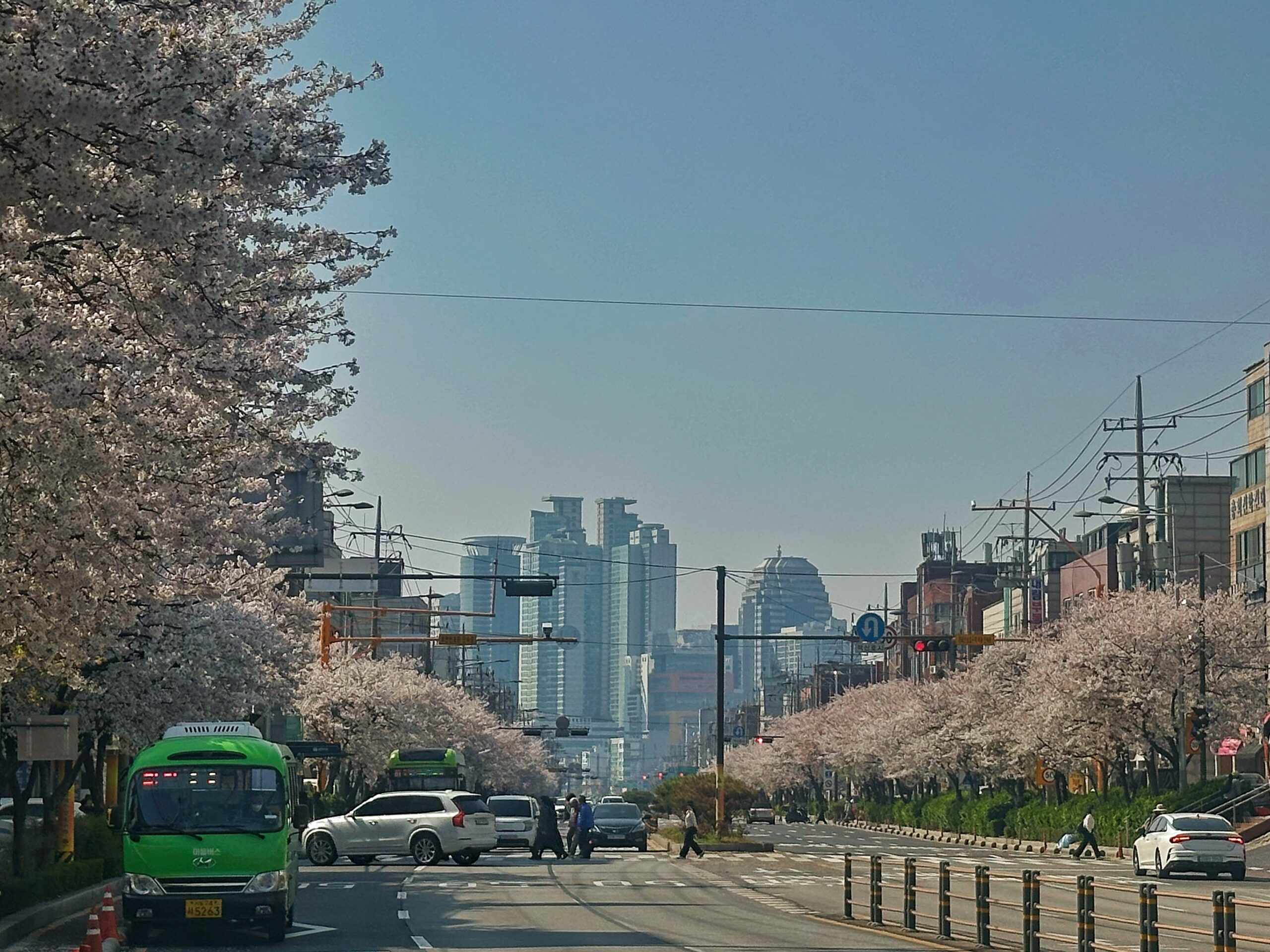 26.04.xx 의 기록 count(title)%, KakaoTalk 20260406 223549545 01 scaled