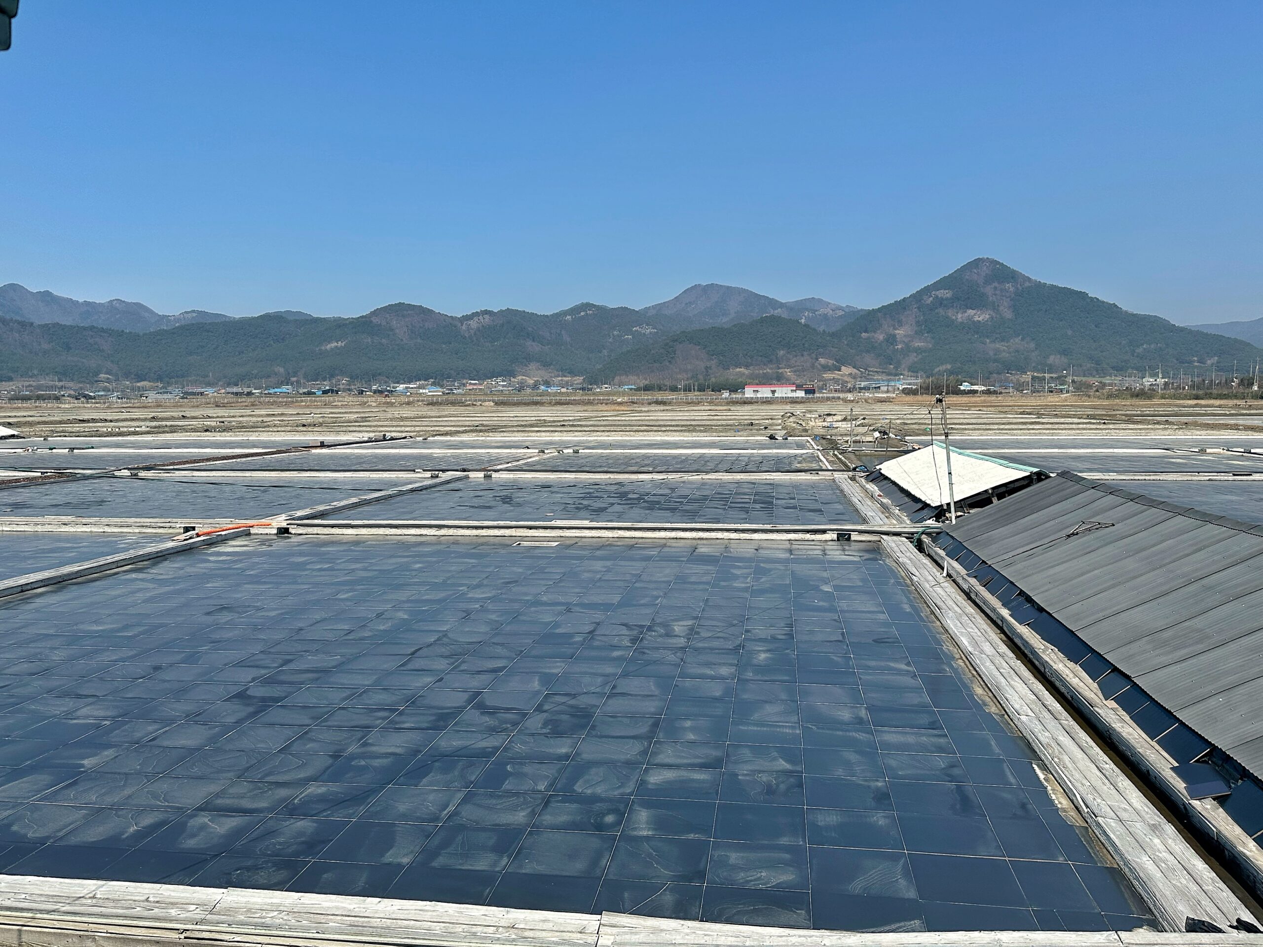 전북 부안, 뚜벅이 여행기 1박 2일 코스 [26.03.28 - 26.03.29] 38