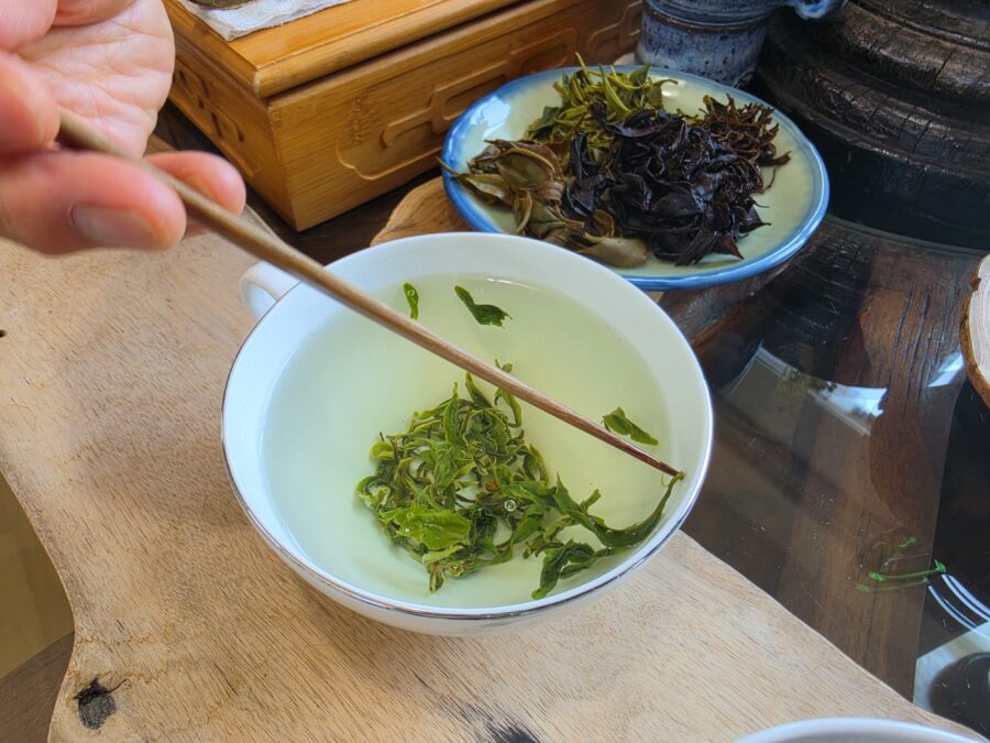 [경남/하동] 백학제다 - 최참판댁 앞에 위치한 차 시음장, 우전·홍차·백차 티 테이스팅 count(title)%, KakaoTalk 20260616 221421983 10 scaled